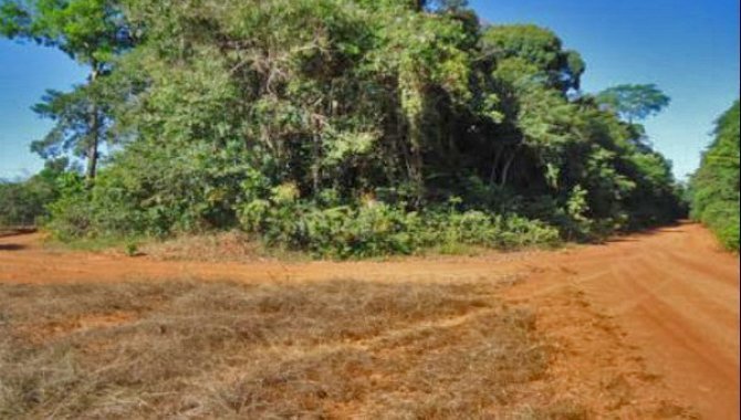 Foto - Fazenda Nossa Senhora de Nazaré 1.210 ha - Marcelândia - MT - [1]