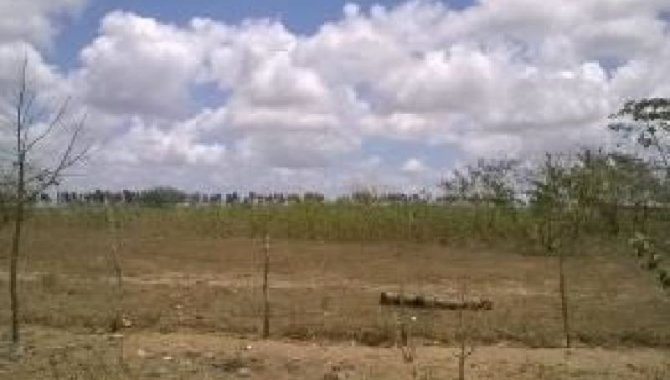 Foto - Terreno 169 m² - Zona Rural - Espírito Santo - RN - [1]