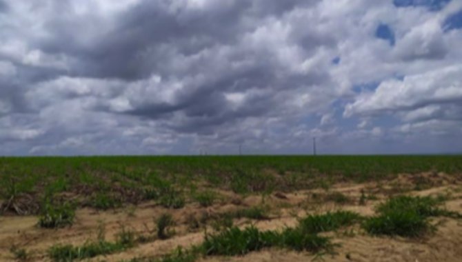 Foto - Fazenda, Comercial, Fazenda Sao Jose - [1]