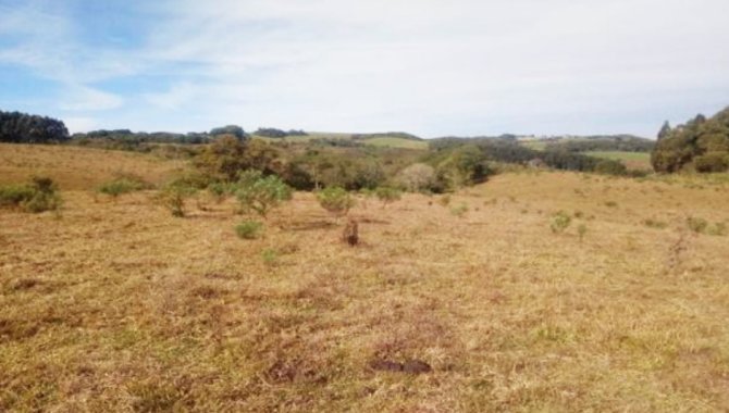 Foto - Área Rural 169.400 m² - Paiquerê - Turvo - PR - [1]