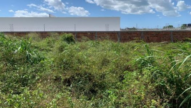 Foto - Terreno 800 m² (Lote 17) - Araçagy - São José de Ribamar - MA - [1]