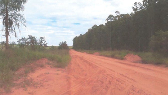 Foto - Fazenda Retiro da Ilha 121.83 ha - Ponta Porã - MS - [1]