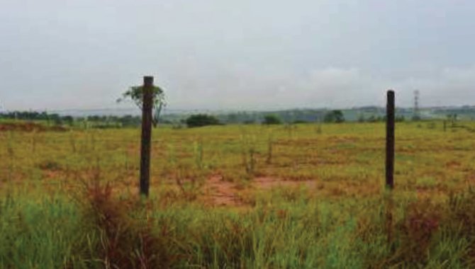 Foto - Sítio Ponte Funda 23 ha - Cruzeiro - Sumaré - SP - [1]