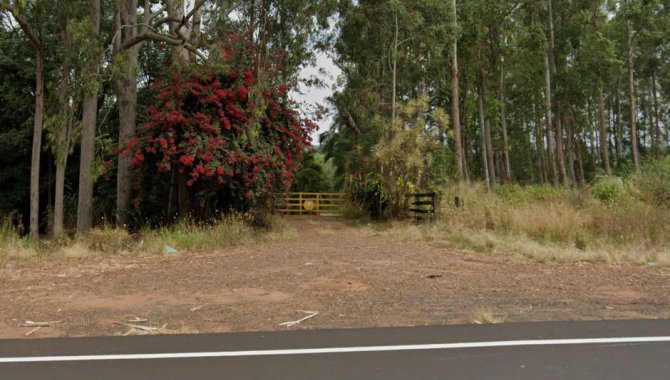 Foto - Imóvel Rural 31 ha - Santa Rosa de Viterbo - SP e Bens de Diversas Categorias - [1]