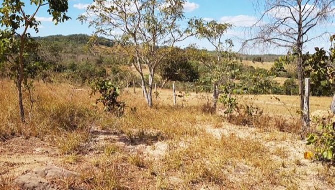 Foto - Área de Terras 1.722 ha - Zona Rural - Baliza - GO - [1]