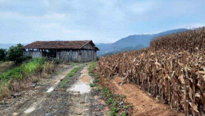 Foto - Área - Leoberto Leal-SC - Estrada Geral Rio Antinha - Fazenda da Barra - [1]