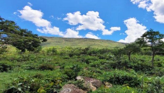 Foto - Área - São Roque de Minas-MG - Estrada Vicinal de Piçarra - Fazenda Campo Formoso - [1]