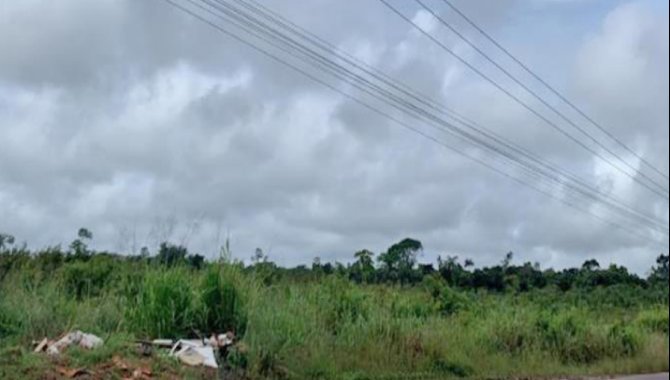 Foto - Área - Barcarena-PA - Rodovia Transbarcarena, Lote 235, Quadra 50 - São Bartolomeu - [1]