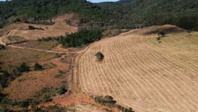 Foto - Área de 81 ha - Fazenda Santa Clara - Ribeirão Grande - SP - [1]