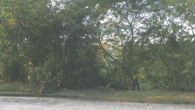 Foto - Terreno 1.000 m² - Ribeirão dos Porcos - Atibaia - SP - [1]